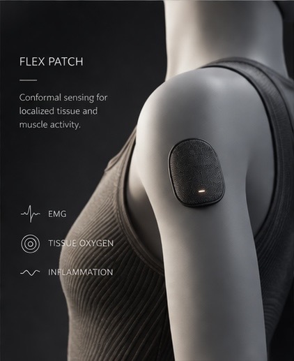 Flex Patch concept rendering